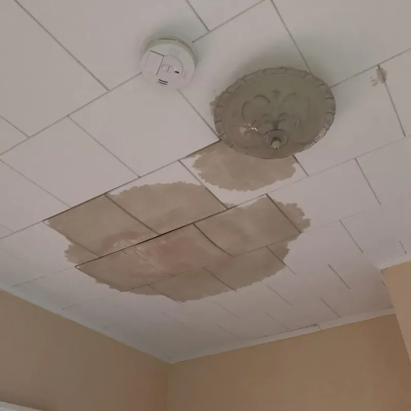 Ceiling Water Damage Repair in Harlowton, MT